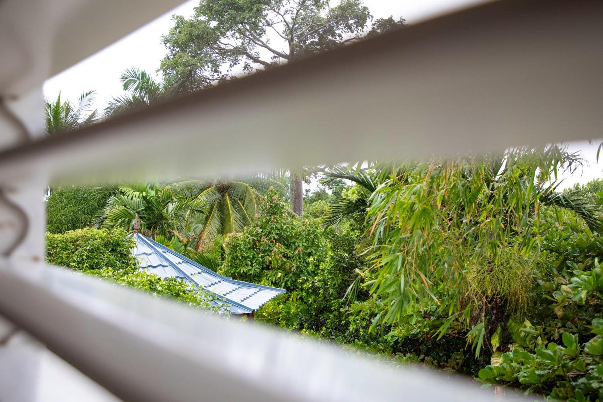 Hotel Lf Jungle Retreat Drapers Exteriér fotografie